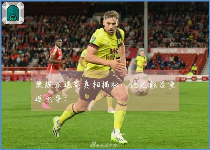 樊振东退赛真相揭秘，他还能否重返竞争？