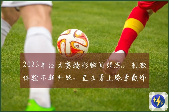 2023年拉力赛精彩瞬间频现，刺激体验不断升级，直击肾上腺素巅峰！