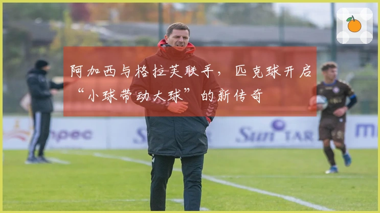 阿加西与格拉芙联手，匹克球开启“小球带动大球”的新传奇