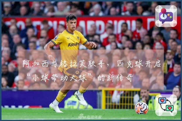 阿加西与格拉芙联手，匹克球开启“小球带动大球”的新传奇